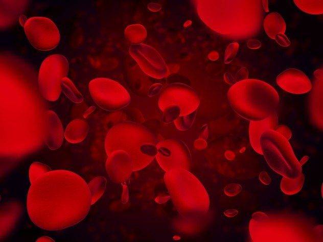 10 histórias incríveis de pessoas que acordaram do coma (10)