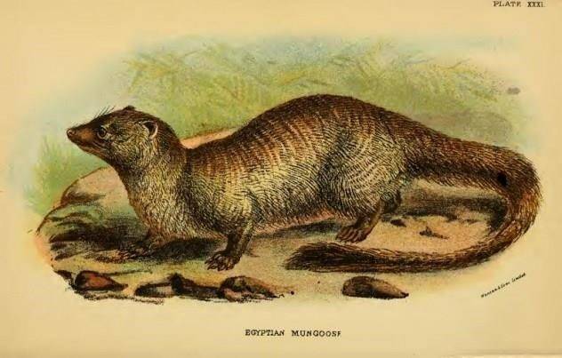 10 monstros mitológicos que você não gostaria de encontrar (6)