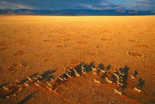 3 mistérios naturais que a ciência (ainda) não conseguiu resolver