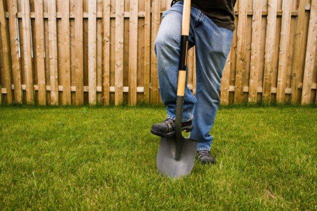 10 pessoas que simplesmente não puderam dizer adeus (7)