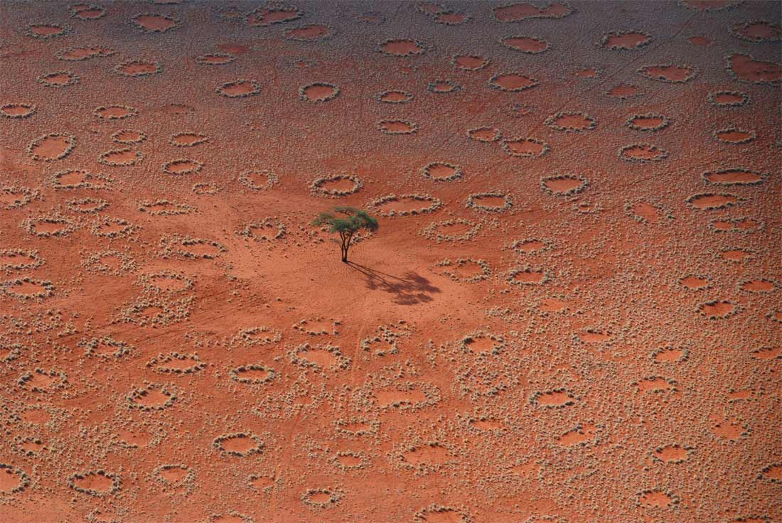 fairy-circles-1