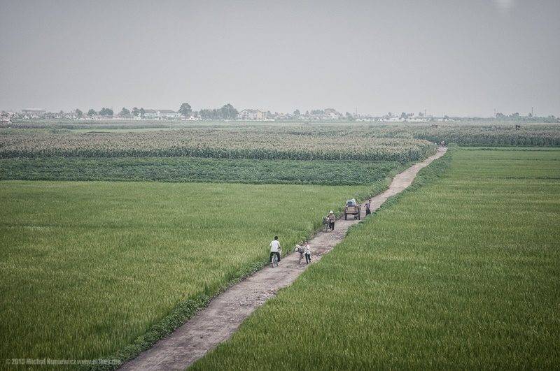 9-campo-de-arroz-coreia-do-norte