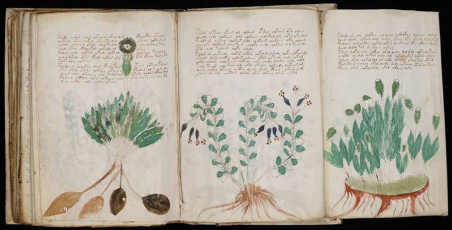 Páginas do original do Manuscrito de Voynich