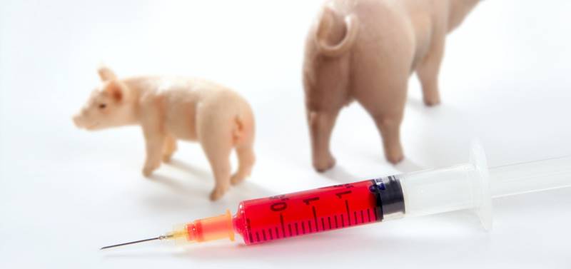 Vacina da gripe suína, um dos tipos de gripe