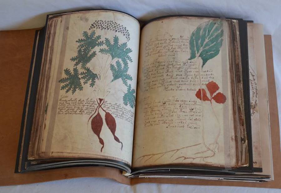 O original do Manuscrito do Voynich