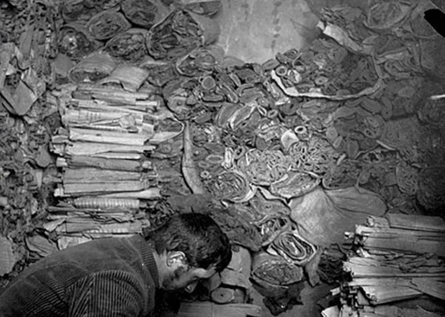 A biblioteca na caverna