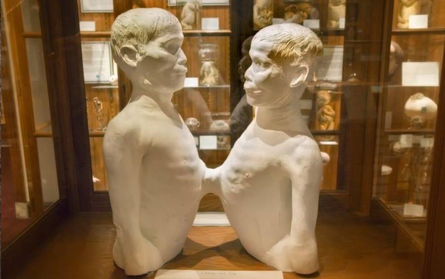 Museu de Anormalidades Médicas