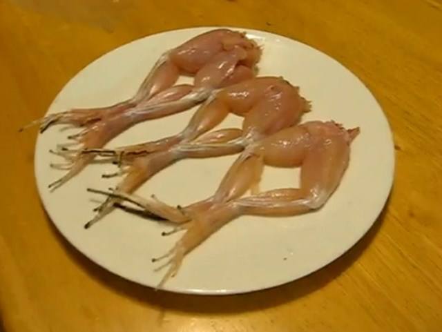Comida para perder o apetite.
