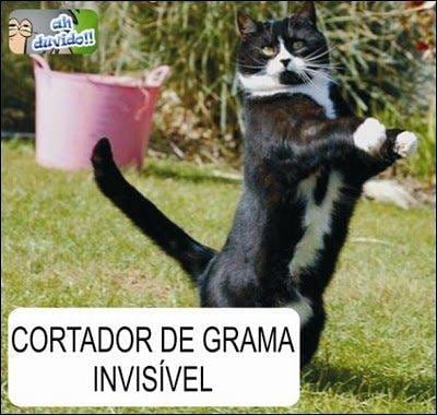 Grandes Momentos Invisíveis