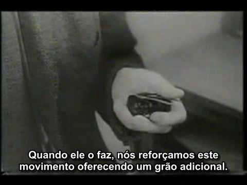 10 de algumas das coisas mais idiotas e inutéis