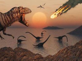 Conheça as extinções de eras que deixam a dos dinossauros - Triássico-Jurássico - no chinelo. Extinção Ordoviciano, Permiano-Triássico.