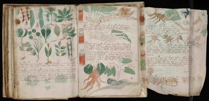 O original Manuscrito Voynich
