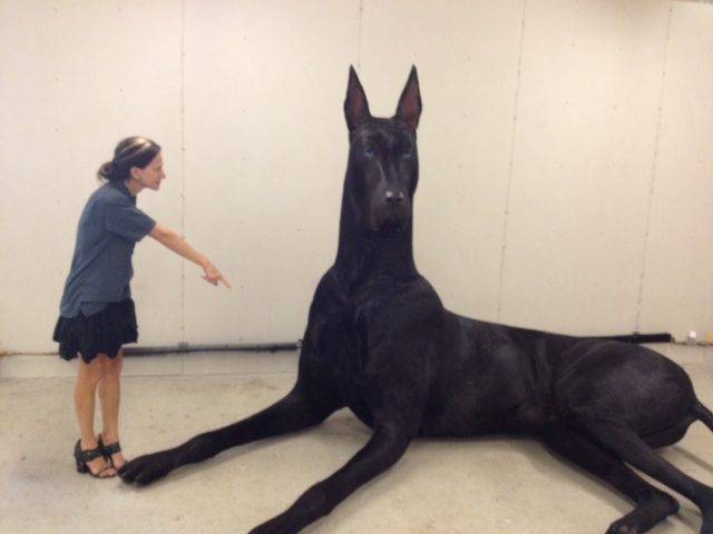 A notícia do maior cachorro do mundo qu rodou a internet é falsa. Nós explicamos porquê e mostramos o verdadeiro maior cão do planeta, que parece um cavalo.